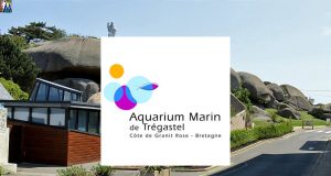 aquarium-de-tregastel