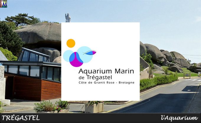 aquarium-de-tregastel