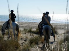 Les Arnelles, Rando équestre en Camargue