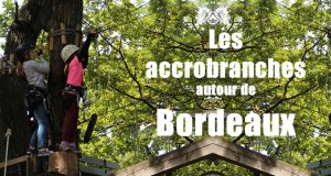 accrobranches-bordeaux