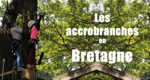 Accrobranches en Bretagne