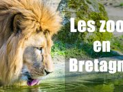 Zoo en Bretagne