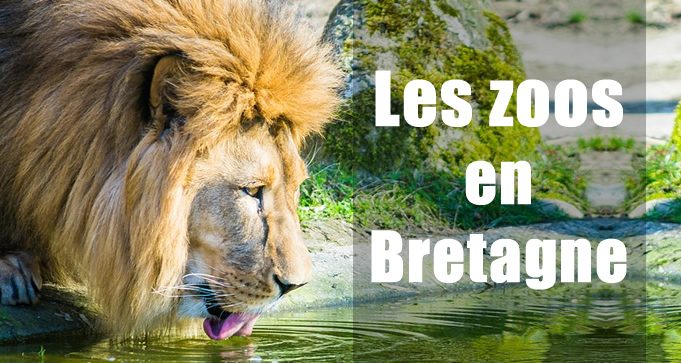Zoo en Bretagne