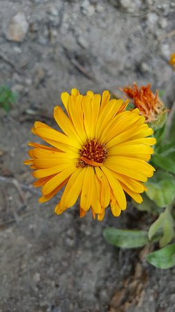 20160703 181924 001 largejpg