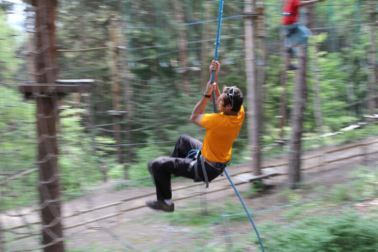 80510 img 5750 7 768x512