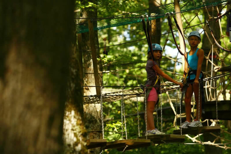 98664 acrogivry 7 768x512