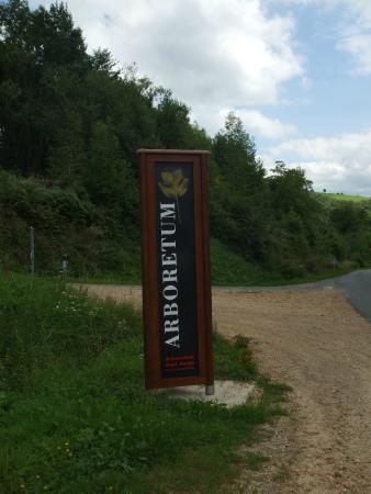 arboretum paul barge