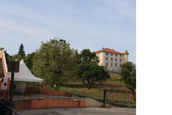 chateau d aiguines