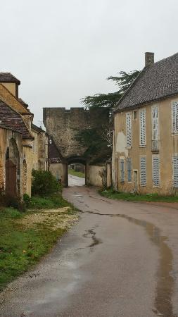 chateau de druyes les