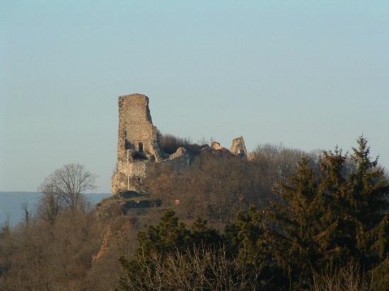 chateau de montfaucon
