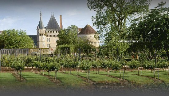 chateau de talcy