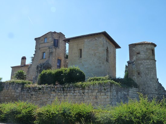 chateau musee du pastel