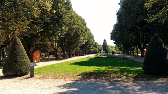 cours saint mauris partie