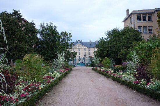 dominique alexandre godron