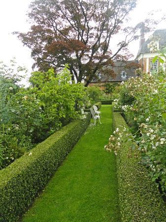 filename angel jpg thumbnail0