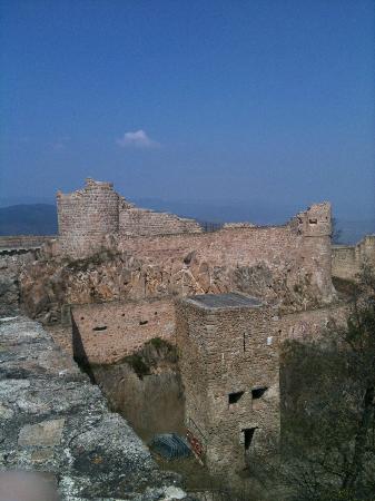 filename img 0551 jpg