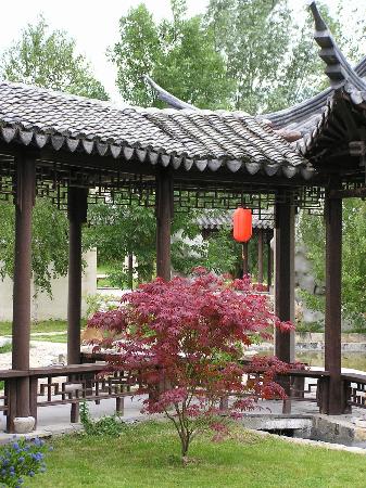 filename p6040026 jpg