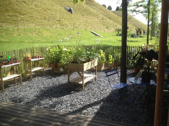 garden by the gift shop