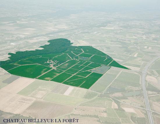 getlstd property photo 386