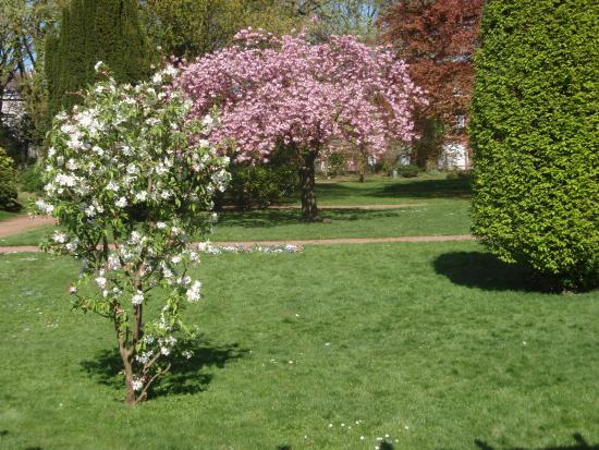 jardin botanique de tourcoing