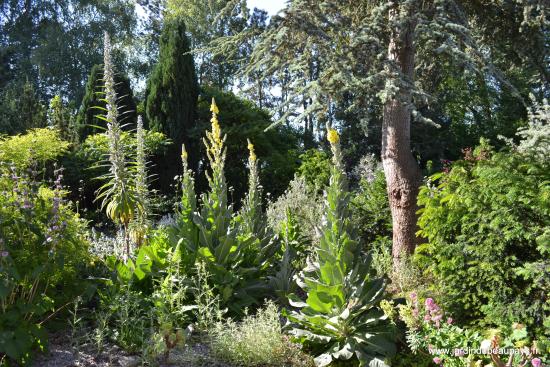 jardin botanique du beau