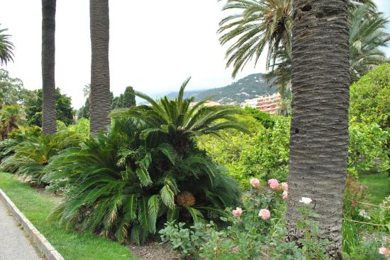 jardin d agrumes du palais