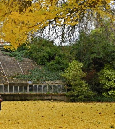 jardin des plantes 2
