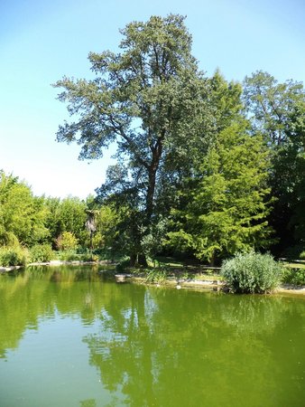 jardin des plantes 5