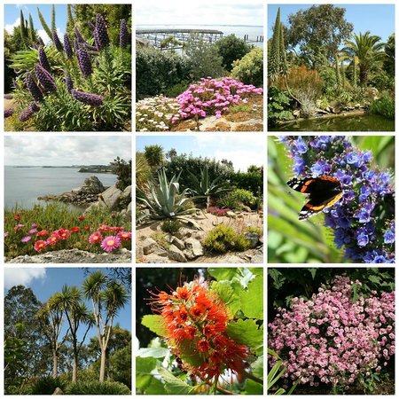 jardin exotique 1