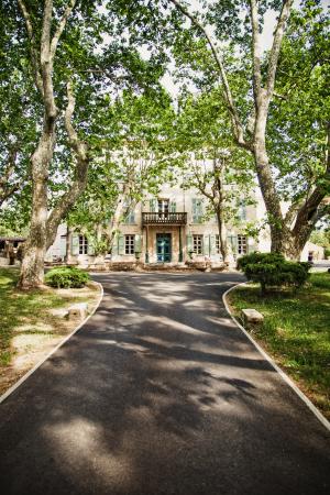 l allee de platanes tricentair