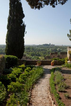 la vue sur le palais
