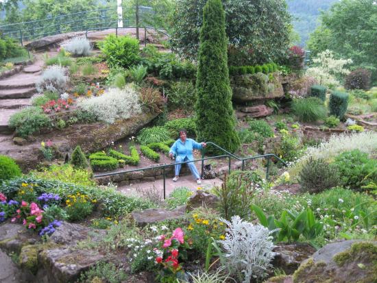 le jardin alpestre de