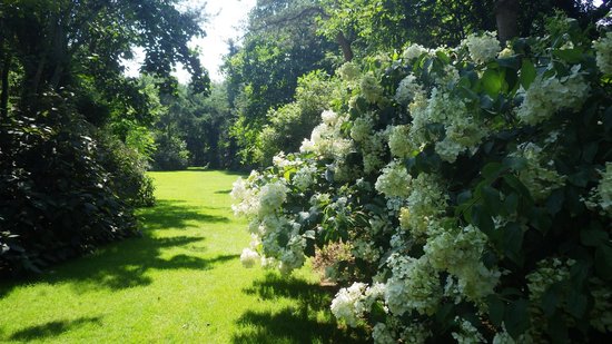 le jardin de bellevue