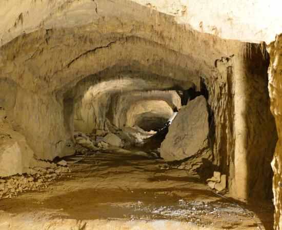 le jardin de la tuilerie