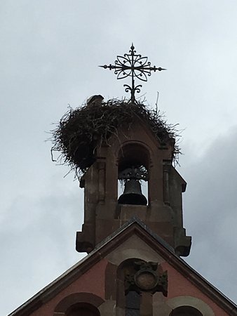 lovely old cathedral