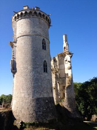 vestiges du chateau charles