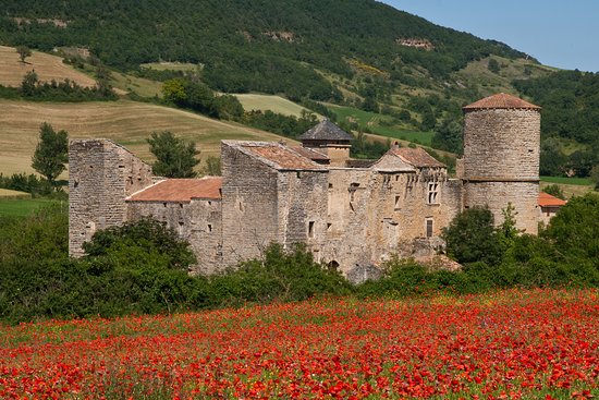 vue d ensemble xive xve