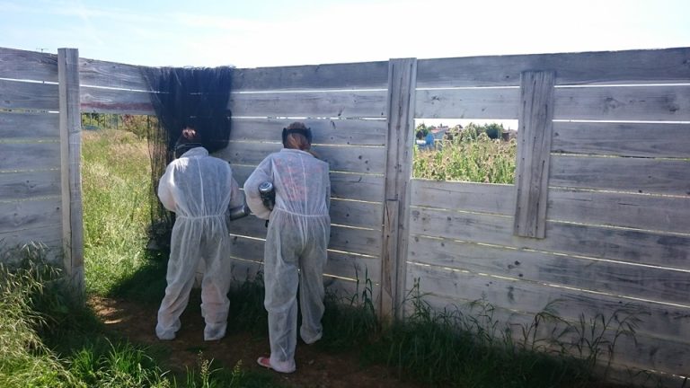 13628 13245291 1035956749817195 590666681756647679 n 768x432