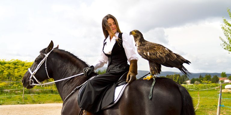 18002 parc animalier verdon 768x384