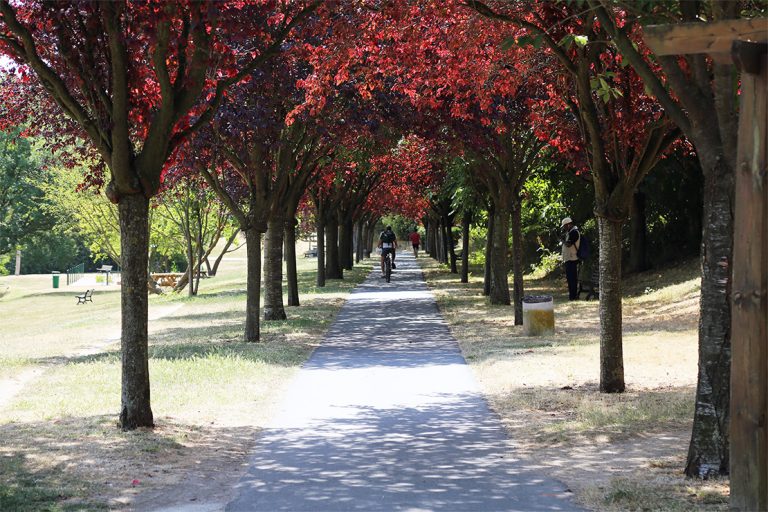 19399 parc departemental 768x512