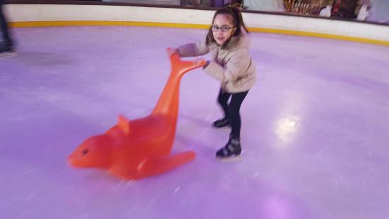 20151228 104633 largejpg