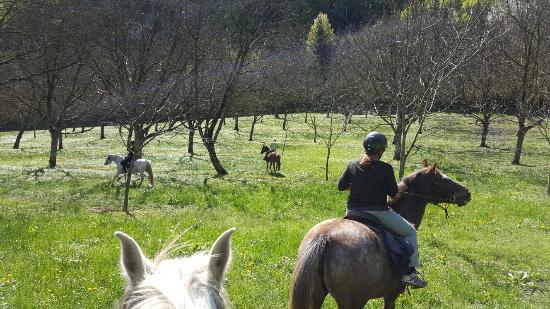 20160416 122259 largejpg