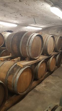 20160521 124641 largejpg