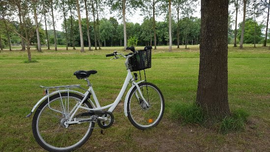 20160711 144223 largejpg