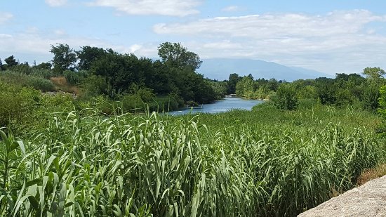 20160713 121931 largejpg