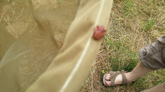 20160721 104616 largejpg