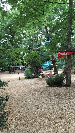 20160727 133013 largejpg