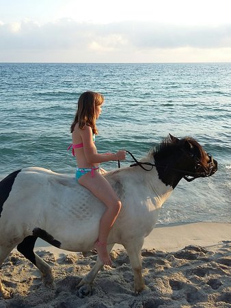 20160728 194828 largejpg