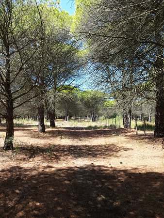 20160805 122101 largejpg