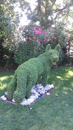 20160810 153155 largejpg